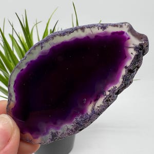 May include: A polished, oval agate slice. The centre is a deep purple, with a white and purple edge. The natural stone has a unique, organic shape and texture. It is displayed against a white background.