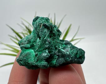 Raw Malachite Crystal Cluster, Congo Minerals, Chakra Stone