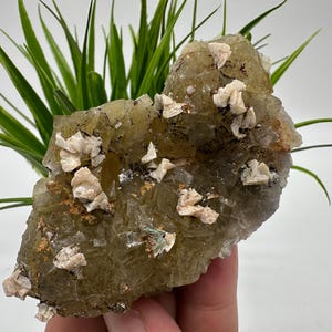 Yellow Fluorite,Pyrite from Spain,Mineral Specimen,Yellow Fluorite,Fluorite from Spain,Collection, Fluorite Collectors, Crystal Fluorite