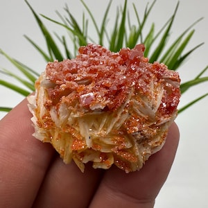 Red Vanadinite on BARITE from Morocco,Crystal, Mineral,Specimen,Cluster,Vanadinite Crystal, Vanadinite ,Geology,Vanadinite Cluster,Vanadinit