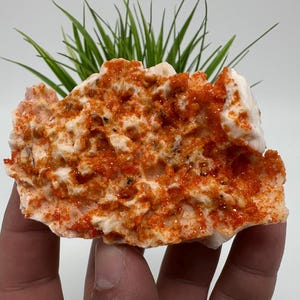 Red Vanadinite on Matrix from Morocco,Crystal, Mineral,Specimen,Cluster,Vanadinite Crystal, Vanadinite ,Geology,Vanadinite Cluster,Vanadinit