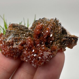 Red Vanadinite on BARITE from Morocco,Crystal, Mineral,Specimen,Cluster,Vanadinite Crystal, Vanadinite ,Geology,Vanadinite Cluster,Vanadinit