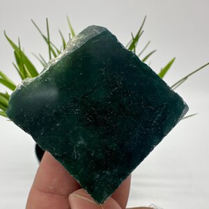 Moss Agate Polished Slab,Moss Agate Slice,Moss AgateStone,Moss Agate crystal,polished slice Moss Agat,Wholesale Moss Agate,polished Slab,