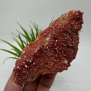 Red Vanadinite on Matrix from Morocco,Crystal, Mineral,Specimen,Cluster,Vanadinite Crystal, Vanadinite ,Geology,Vanadinite Cluster,Vanadinit