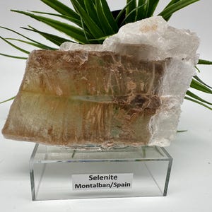TOP QUALITY! Golden Phantom Selenite Slabs. Fishtail Selenite. Utah Raw Golden Selenite Slab / Wands. Utah Selenite. Sheet Selenite. Gift