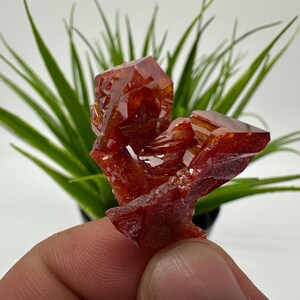 Red Vanadinite on Matrix from Morocco,Crystal, Mineral,Specimen,Cluster,Vanadinite Crystal, Vanadinite ,Geology,Vanadinite Cluster,Vanadinit