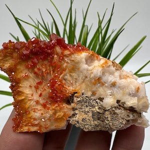 Rode vanadiniet op BARITE uit Marokko, kristal, mineraal, monster, cluster, vanadinietkristal, vanadiniet, geologie, vanadinietcluster, vanadiniet
