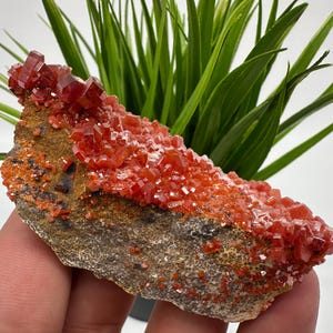 Rode vanadiniet op BARITE uit Marokko, kristal, mineraal, monster, cluster, vanadinietkristal, vanadiniet, geologie, vanadinietcluster, vanadiniet
