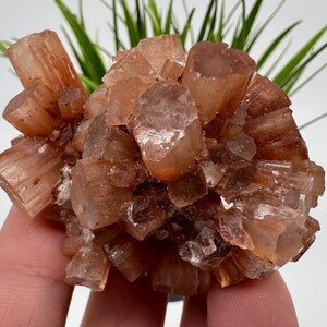 Amazing Aragonite from Morocco ,Aragonite Sputnik, Crystals, Raw Stone Cluster, Mineral, Stones, souvenir gift crystal home decor stone