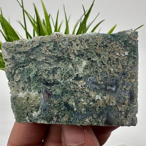 Moss Agate Polished Slab,Moss Agate Slice,Moss AgateStone,Moss Agate crystal,polished slice Moss Agat,Wholesale Moss Agate,polished Slab,