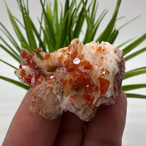 Rode vanadiniet op BARITE uit Marokko, kristal, mineraal, monster, cluster, vanadinietkristal, vanadiniet, geologie, vanadinietcluster, vanadiniet