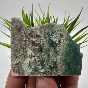 Moss Agate Polished Slab,Moss Agate Slice,Moss AgateStone,Moss Agate crystal,polished slice Moss Agat,Wholesale Moss Agate,polished Slab,