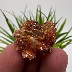 Rode vanadiniet op BARITE uit Marokko, kristal, mineraal, monster, cluster, vanadinietkristal, vanadiniet, geologie, vanadinietcluster, vanadiniet