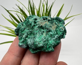 Raw Malachite Crystal Cluster, Congo Minerals, Chakra Stone