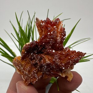 Red Vanadinite on BARITE from Morocco,Crystal, Mineral,Specimen,Cluster,Vanadinite Crystal, Vanadinite ,Geology,Vanadinite Cluster,Vanadinit