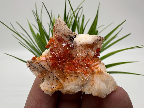 モロッコ産 バナディナイト 50g バナジナイト 標本 モロッコ産高品質