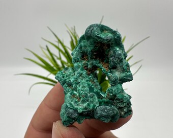 Green Malachite Mineral Specimen, Congo Crystals, Collection Minerals