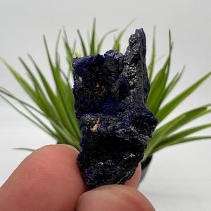 Crystallized Azurite-Kerrouchen,Morocco-Blue Azurite Specimen-High Quality Blue Azurite-Azurite Mineral Specimen, gemmy,lustrous of Azurite