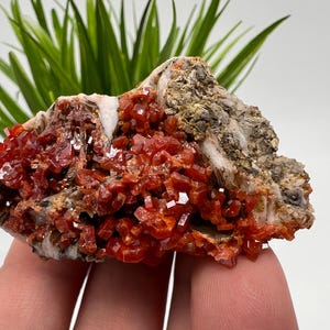 Red Vanadinite on BARITE from Morocco,Crystal, Mineral,Specimen,Cluster,Vanadinite Crystal, Vanadinite ,Geology,Vanadinite Cluster,Vanadinit