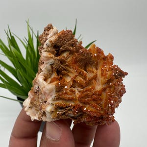 Red Vanadinite on BARITE from Morocco,Crystal, Mineral,Specimen,Cluster,Vanadinite Crystal, Vanadinite ,Geology,Vanadinite Cluster,Vanadinit
