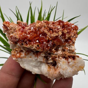 Rode vanadiniet op BARITE uit Marokko, kristal, mineraal, monster, cluster, vanadinietkristal, vanadiniet, geologie, vanadinietcluster, vanadiniet