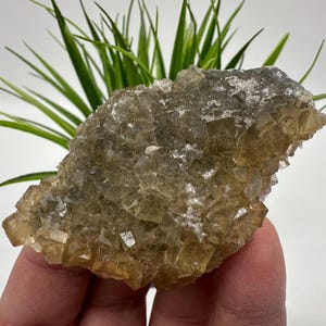 Yellow Fluorite,Pyrite from Spain,Mineral Specimen,Yellow Fluorite,Fluorite from Spain,Collection, Fluorite Collectors, Crystal Fluorite