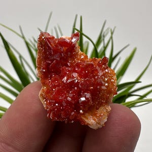Rode vanadiniet op BARITE uit Marokko, kristal, mineraal, monster, cluster, vanadinietkristal, vanadiniet, geologie, vanadinietcluster, vanadiniet
