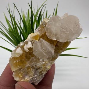 Yellow Fluorite,Pyrite from Spain,Mineral Specimen,Yellow Fluorite,Fluorite from Spain,Collection, Fluorite Collectors, Crystal Fluorite