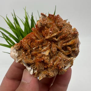 Red Vanadinite on BARITE from Morocco,Crystal, Mineral,Specimen,Cluster,Vanadinite Crystal, Vanadinite ,Geology,Vanadinite Cluster,Vanadinit