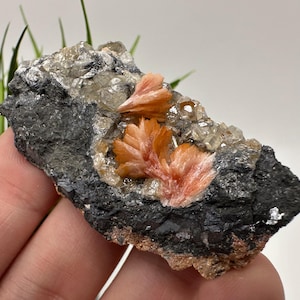 Bellissima barite con cerussite dal Marocco, cristallo, minerale, esemplare, cluster, cristalli, cristallo di barite, cerussite, cristallo di cerussite, esemplare