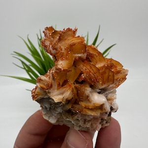 Red Vanadinite on BARITE from Morocco,Crystal, Mineral,Specimen,Cluster,Vanadinite Crystal, Vanadinite ,Geology,Vanadinite Cluster,Vanadinit