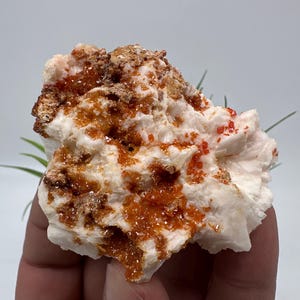 Red Vanadinite on Matrix from Morocco,Crystal, Mineral,Specimen,Cluster,Vanadinite Crystal, Vanadinite ,Geology,Vanadinite Cluster,Vanadinit