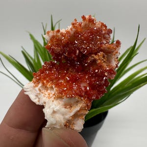 Red Vanadinite on BARITE from Morocco,Crystal, Mineral,Specimen,Cluster,Vanadinite Crystal, Vanadinite ,Geology,Vanadinite Cluster,Vanadinit