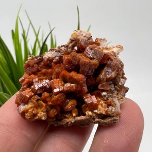 Red Vanadinite on Matrix from Morocco,Crystal, Mineral,Specimen,Cluster,Vanadinite Crystal, Vanadinite ,Geology,Vanadinite Cluster,Vanadinit