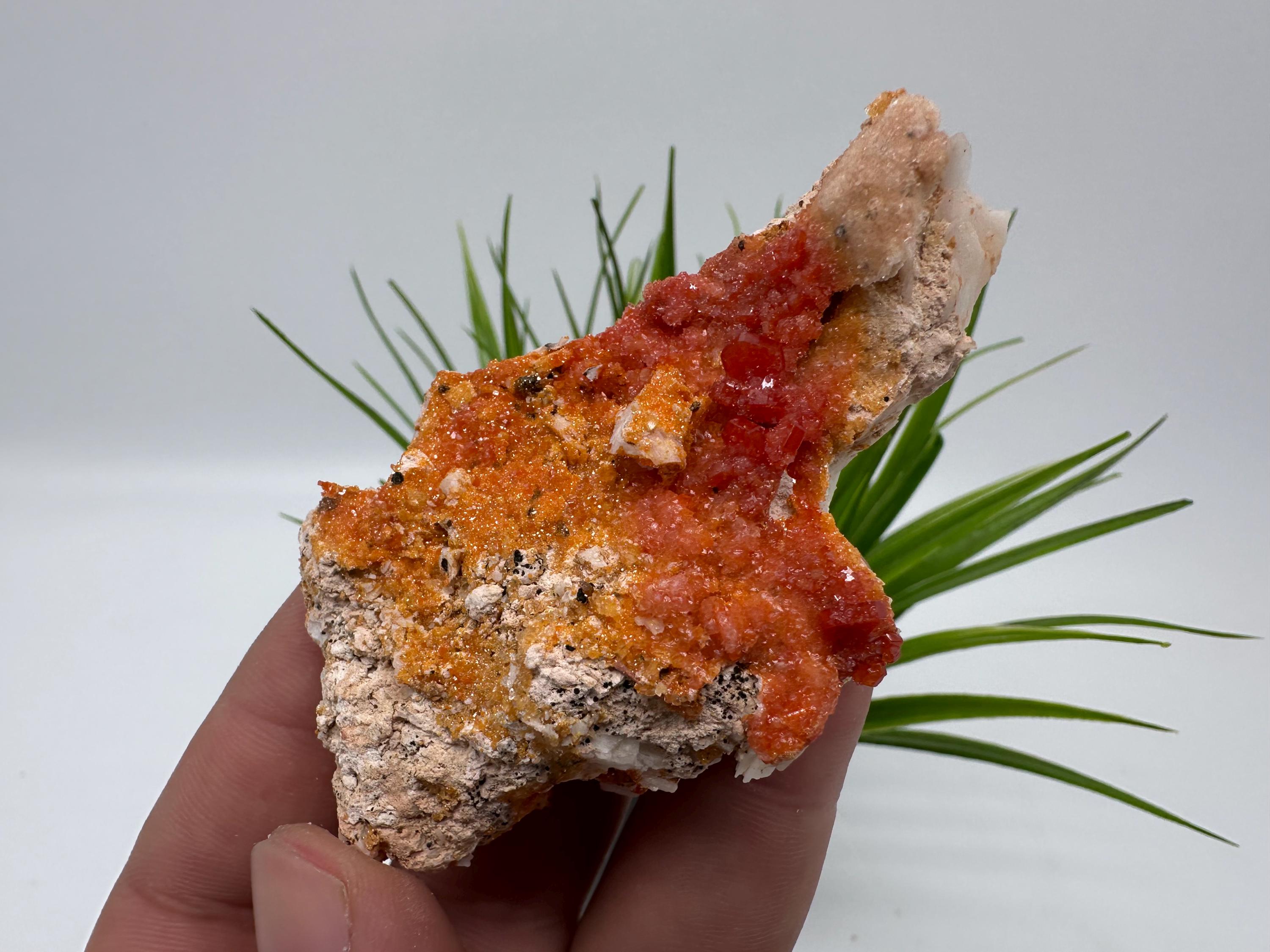 モロッコ産鉱物標本、母岩上の赤色バナジナイト結晶クラスター - Etsy 日本