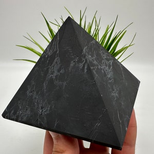 以下が含まれることがあります： 黒色のピラミッド型のプランターに、小さな緑色の植物が植えられています。プランターは、大理石のような模様をしています。