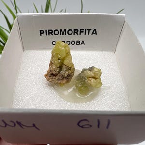 Pyromorphite Stone / Pyromorphite on Matrix / Pyromorphite Crystal / Raw Crystal / Pyromorphite Cluster / Rough Pyromorphite / Pyromorphite