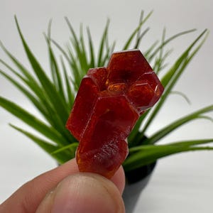 Red Vanadinite on Matrix from Morocco,Crystal, Mineral,Specimen,Cluster,Vanadinite Crystal, Vanadinite ,Geology,Vanadinite Cluster,Vanadinit