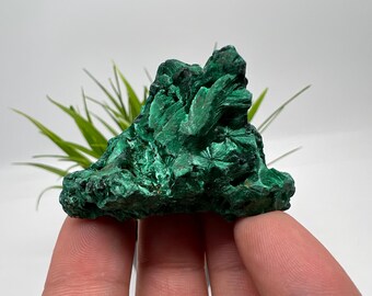 Green Malachite Crystal Cluster, Congo Mineral Specimen