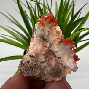 Rode vanadiniet op BARITE uit Marokko, kristal, mineraal, monster, cluster, vanadinietkristal, vanadiniet, geologie, vanadinietcluster, vanadiniet