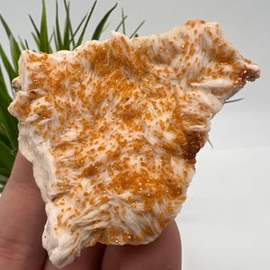 Red Vanadinite on BARITE from Morocco,Crystal, Mineral,Specimen,Cluster,Vanadinite Crystal, Vanadinite ,Geology,Vanadinite Cluster,Vanadinit