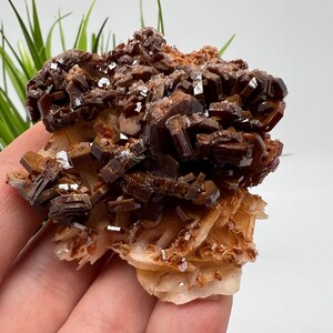 Red Vanadinite on BARITE from Morocco,Crystal, Mineral,Specimen,Cluster,Vanadinite Crystal, Vanadinite ,Geology,Vanadinite Cluster,Vanadinit