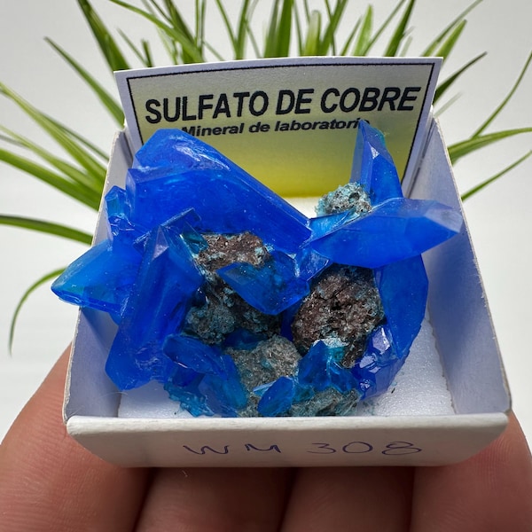 Im Labor gewachsene Chalcanthit auf Matrix, Blauer Kristall Mineral Specimen