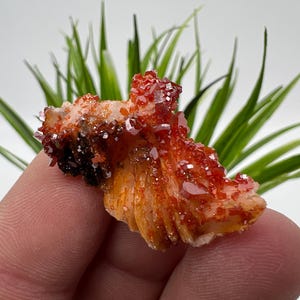 Rode vanadiniet op BARITE uit Marokko, kristal, mineraal, monster, cluster, vanadinietkristal, vanadiniet, geologie, vanadinietcluster, vanadiniet