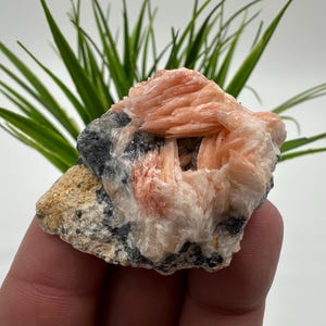 Very nice Baryte with Cerussite from Morocco,Crystal, Mineral,Specimen,Cluster, Crystals,Barite Crystal,Cerussite,Cerussite Crystal,Specimen