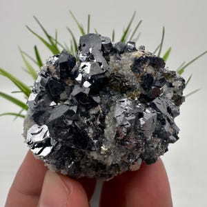 Mirror Galena,Cleiopfane ,Quartz from Krushev dol mine,Bulgaria natural,collection mineral specimen,home decor stone,gift minerals,gale