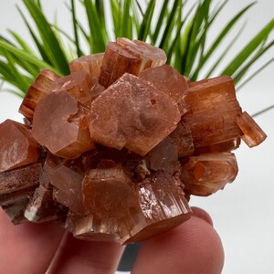 Amazing Aragonite from Morocco ,Aragonite Sputnik, Crystals, Raw Stone Cluster, Mineral, Stones, souvenir gift crystal home decor stone