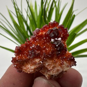 Rode vanadiniet op BARITE uit Marokko, kristal, mineraal, monster, cluster, vanadinietkristal, vanadiniet, geologie, vanadinietcluster, vanadiniet
