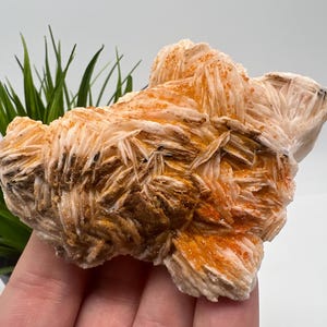 Red Vanadinite on BARITE from Morocco,Crystal, Mineral,Specimen,Cluster,Vanadinite Crystal, Vanadinite ,Geology,Vanadinite Cluster,Vanadinit