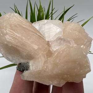 Espécime de cristal de estilbita de apofilita: Coleção de minerais da Índia